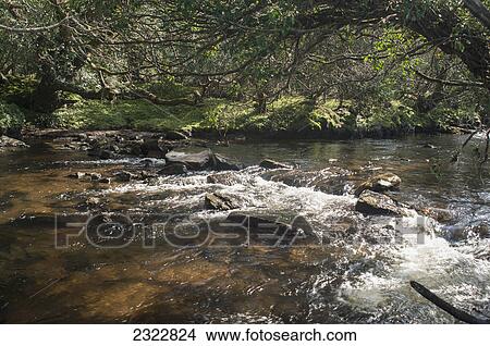 River caragh on the kerry way; Iveragh peninsula county kerry ireland View Large Photo Image Picture - River caragh on the kerry way; Iveragh peninsula county kerry ireland. Fotosearch