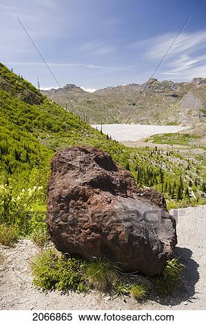 Stock Photography - Rock From 1980 Blast And Logs In Spirit Lake As A Result Of The Blowdown From The 1980 Mt. St. Helens Blast, Mount St. Helens National Volcanic Monument, Washington, Usa. Fotosearch