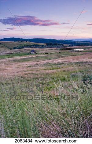 Picture - Rural Farmland And An Abandoned Farmhouse; Canada, British Columbia, Bridesville, Boundary Country. Fotosearch