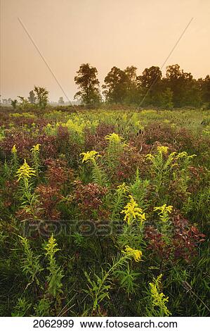 Stock Photo - Rural Scenic, Alberta, Canada. Fotosearch
