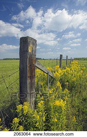 Rural Scenic With Fenceline Near Binbrook, Ontario, Canada View Large Photo Image Picture - Rural Scenic With Fenceline Near Binbrook, Ontario, Canada. Fotosearch