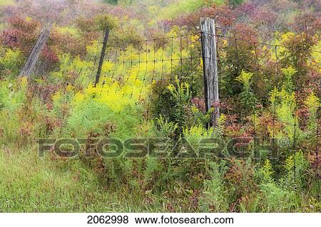 Stock Photo - Rural Scenic With Pagewire Fence, Alberta, Canada. Fotosearch