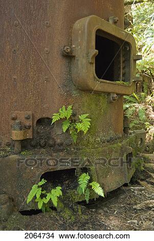 Rusty Boiler From A Steam Engine Used For Logging In The Early 20Th Century, West Coast Trail, Pacific Rim National Park Reserve, Bc, Canada View Large Photo Image Picture - Rusty Boiler From A Steam Engine Used For Logging In The Early 20Th Century, West Coast Trail, Pacific Rim National Park Reserve, Bc, Canada. Fotosearch