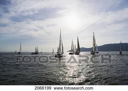Sail Racing, West Vancouver Yacht Club, West Vancouver, Bc Canada View Large Photo Image Stock Photo - Sail Racing, West Vancouver Yacht Club, West Vancouver, Bc Canada. Fotosearch