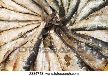 Salted fish on display for sale in the Mercado Central; Valencia, Spain View Large Photo Image Stock Photo - Salted fish on display for sale in the Mercado Central; Valencia, Spain. Fotosearch