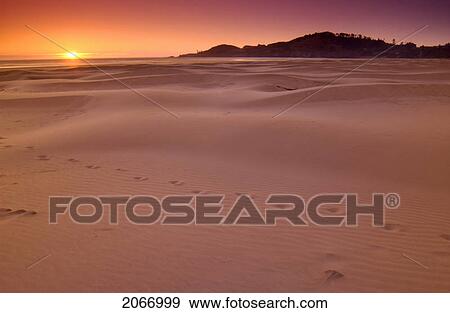 Stock Photo - Sand Dunes And Footprints At Sunset, Oregon Coast, Oregon, Usa. Fotosearch