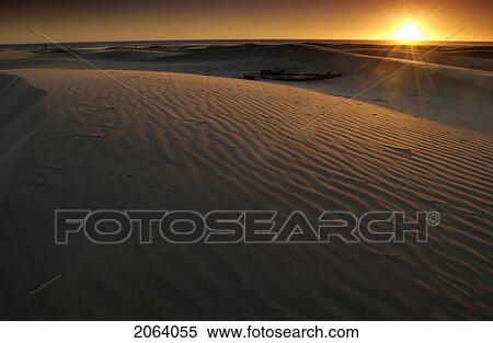 Sand Dunes At Sunset, Oregon Dunes National Recreation Area View Large Photo Image Stock Photography - Sand Dunes At Sunset, Oregon Dunes National Recreation Area. Fotosearch