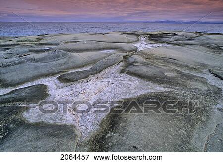 Stock Photo - Sandstone Rocks Are Covered In Sea Weed, Hornby Island Bc. Fotosearch