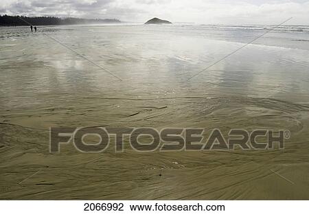 Sandy Beach With A Reflection, Long Beach, Pacific Rim National Park Reserve, Tofino, Bc, Canada View Large Photo Image Stock Image - Sandy Beach With A Reflection, Long Beach, Pacific Rim National Park Reserve, Tofino, Bc, Canada. Fotosearch