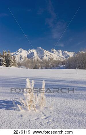 Stock Photo - Scenic winter view of lazy mountain in the chugach mountains; Palmer alaska united states of america. Fotosearch