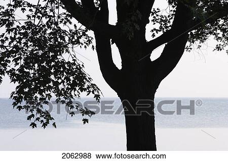 Selkirk Provincial Park And Lake Erie - Selkirk, Ontario, Canada View Large Photo Image Stock Photo - Selkirk Provincial Park And Lake Erie - Selkirk, Ontario, Canada. Fotosearch
