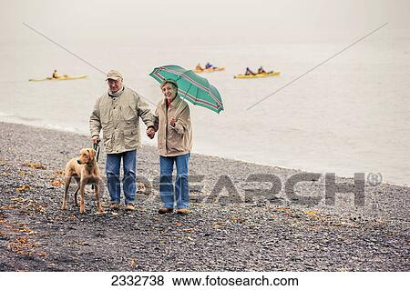 Senior couple walking dog on the beach at Lowell Point, kayakers in the background, rainy day, summer, Seward, Southcentral Alaska, USA View Large Photo Image Stock Photo - Senior couple walking dog on the beach at Lowell Point, kayakers in the background, rainy day, summer, Seward, Southcentral Alaska, USA. Fotosearch