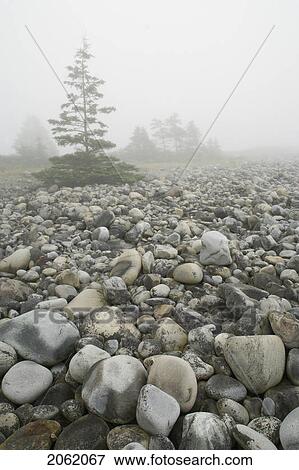 Stock Photo - Shoreline Of Gull Bay Near Western Head, Nova Scotia. Fotosearch