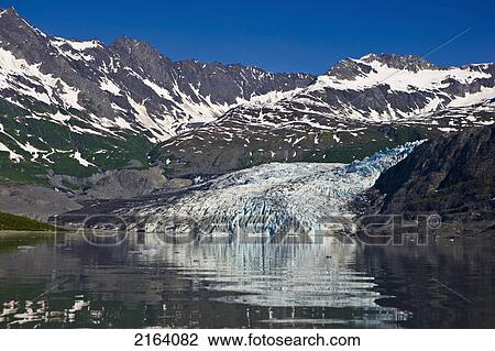 Shoup Glacier Reflected In The Waters Of Shoup Bay, Prince William Sound, Southcentral Alaska, Summer View Large Photo Image Stock Image - Shoup Glacier Reflected In The Waters Of Shoup Bay, Prince William Sound, Southcentral Alaska, Summer. Fotosearch
