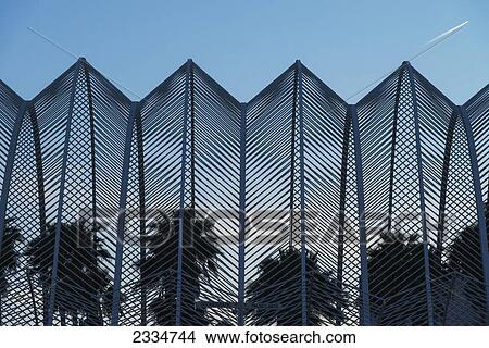 Picture - Silhouettes of palm trees in the Umbracle in the City of Arts and Sciences at dusk; Valencia, Spain. Fotosearch