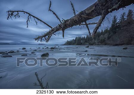 Stock Image - Six minute exposure of the clouds and ocean and a log florencia beach pacific rim national park; British columbia canada. Fotosearch
