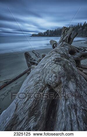 Stock Photography - Six minute exposure of the clouds and ocean and a log florencia beach pacific rim national park; British columbia canada. Fotosearch