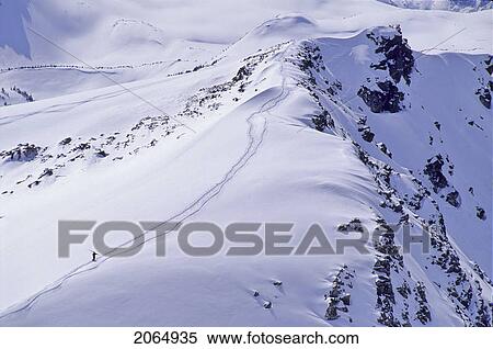 Skier Walks Up Piccolo Mtn, Fresh Winter Snow, Whistler, B. C. View Large Photo Image Stock Photography - Skier Walks Up Piccolo Mtn, Fresh Winter Snow, Whistler, B. C.. Fotosearch