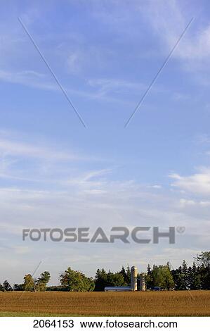 Sky Scape With Farm And Wheat Field, Drumbo, Ontario View Large Photo Image Stock Image - Sky Scape With Farm And Wheat Field, Drumbo, Ontario. Fotosearch