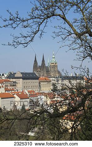 Skyline and buildings against a blue sky with a tree in the foreground; Prague czech republic View Large Photo Image Stock Image - Skyline and buildings against a blue sky with a tree in the foreground; Prague czech republic. Fotosearch