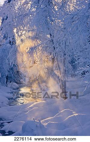 Picture - Small stream in a hoar frost covered forest with rays of sun filtering through the fog in the background russian jack springs park; Anchorage alaska united states of america. Fotosearch
