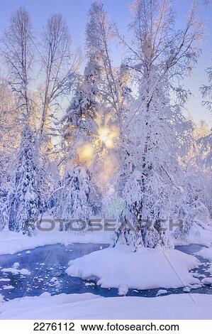 Stock Image - Small stream in a hoar frost covered forest with rays of sun filtering through the fog in the background russian jack springs park; Anchorage alaska united states of america. Fotosearch