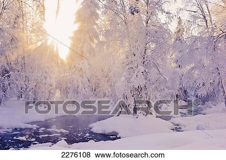 Small stream in a hoar frost covered forest with rays of sun filtering through the fog in the background russian jack springs park; Anchorage alaska united states of america View Large Photo Image Stock Photo - Small stream in a hoar frost covered forest with rays of sun filtering through the fog in the background russian jack springs park; Anchorage alaska united states of america. Fotosearch