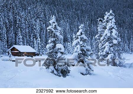 Snow covered evergreen trees with a snow covered log cabin the in background at dusk; Lake louise alberta canada View Large Photo Image Stock Image - Snow covered evergreen trees with a snow covered log cabin the in background at dusk; Lake louise alberta canada. Fotosearch