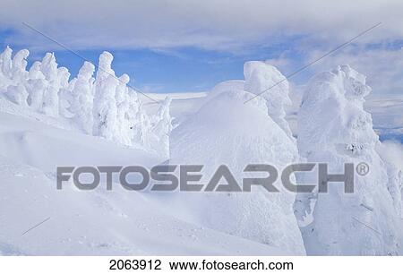 Snow Giants Are Trees Covered In Hoar Frost, Mt. Washington Ski Area, Vancouver Island, Bc View Large Photo Image Stock Image - Snow Giants Are Trees Covered In Hoar Frost, Mt. Washington Ski Area, Vancouver Island, Bc. Fotosearch