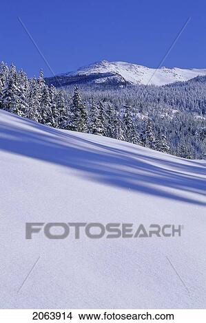 Picture - Snowfield And Mountain On Sunny Day, Whistler, Bc. Fotosearch
