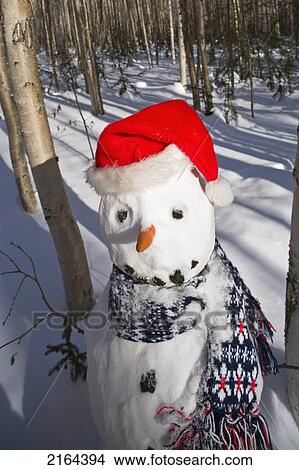 Snowman In Santa Hat & Scarf Deep In Birch Forest Interior Alaska Winter View Large Photo Image Picture - Snowman In Santa Hat & Scarf Deep In Birch Forest Interior Alaska Winter. Fotosearch