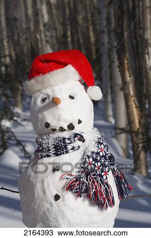 Stock Image - Snowman In Santa Hat & Scarf Deep In Birch Forest Interior Alaska Winter. Fotosearch