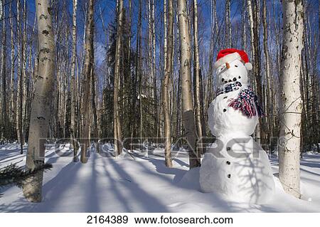 Stock Photo - Snowman In Santa Hat & Scarf Deep In Birch Forest Interior Alaska Winter. Fotosearch