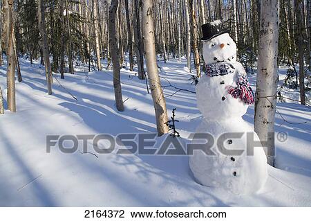 Snowman In Top Hat & Scarf Deep In Birch Forest Interior Alaska Winter View Large Photo Image Stock Image - Snowman In Top Hat & Scarf Deep In Birch Forest Interior Alaska Winter. Fotosearch