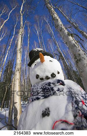 Stock Image - Snowman In Top Hat & Scarf Deep In Birch Forest Interior Alaska Winter. Fotosearch