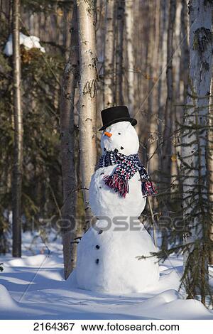 Stock Photo - Snowman In Top Hat & Scarf Deep In Birch Forest Interior Alaska Winter. Fotosearch
