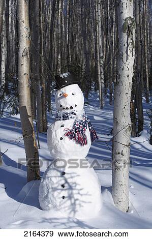 Snowman In Top Hat & Scarf Deep In Birch Forest Interior Alaska Winter View Large Photo Image Stock Photo - Snowman In Top Hat & Scarf Deep In Birch Forest Interior Alaska Winter. Fotosearch