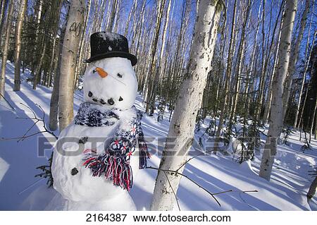 Snowman In Top Hat & Scarf Deep In Birch Forest Interior Alaska Winter View Large Photo Image Stock Photo - Snowman In Top Hat & Scarf Deep In Birch Forest Interior Alaska Winter. Fotosearch