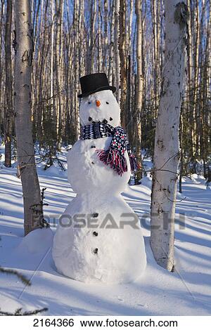 Snowman In Top Hat & Scarf Deep In Birch Forest Interior Alaska Winter View Large Photo Image Stock Photograph - Snowman In Top Hat & Scarf Deep In Birch Forest Interior Alaska Winter. Fotosearch