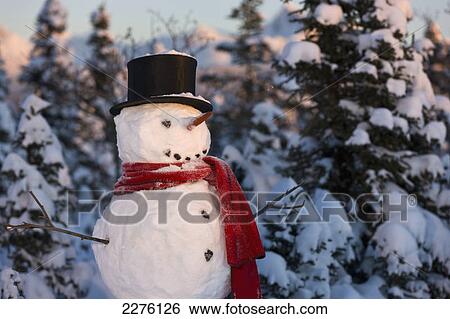 Stock Photograph - Snowman wearing a red scarf and black stovepipe hat standing in front of a snow covered spruce forest in winter; Anchorage alaska united states of america. Fotosearch