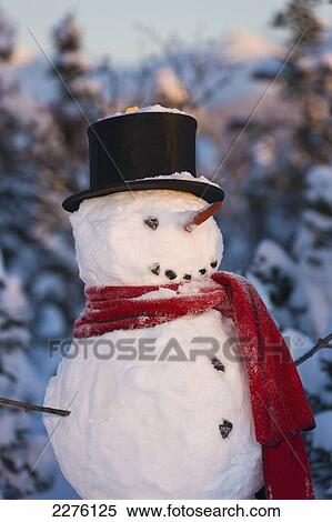 Snowman wearing a red scarf and black stovepipe hat standing in front of a snow covered spruce forest in winter; Anchorage alaska united states of america View Large Photo Image Stock Photography - Snowman wearing a red scarf and black stovepipe hat standing in front of a snow covered spruce forest in winter; Anchorage alaska united states of america. Fotosearch