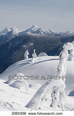 Snowshoeing On Grouse Mountain, British Columbia View Large Photo Image Stock Photo - Snowshoeing On Grouse Mountain, British Columbia. Fotosearch