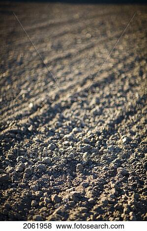 Stock Photo - Soil, Saskatchewan, Canada. Fotosearch