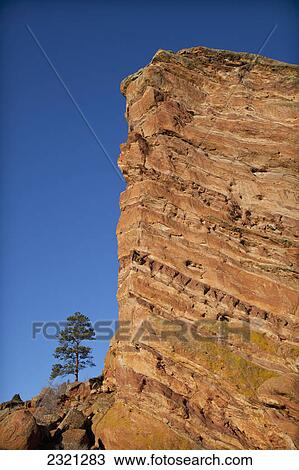 Stock Image - Solitary Tree Next To Red Rocks Bluff; Denver Colorado United States Of America. Fotosearch