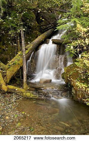 Soo Falls, Bc, Canada View Large Photo Image Stock Photo - Soo Falls, Bc, Canada. Fotosearch