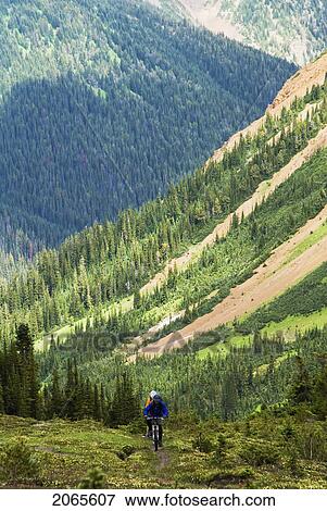 Southern Chilcotins Near Taylor Pass, Spruce Lake Protected Wilderness, British Columbia, Canada View Large Photo Image Stock Photo - Southern Chilcotins Near Taylor Pass, Spruce Lake Protected Wilderness, British Columbia, Canada. Fotosearch