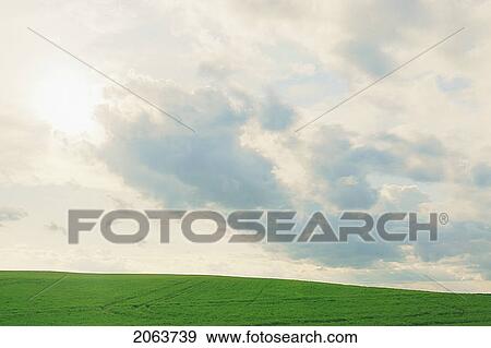 Stock Photo - Spring Crop; Canada, Manitoba, Minnedosa. Fotosearch