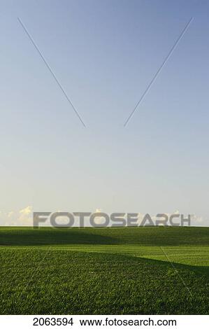 Picture - Springtime Green Fields.; Canada, Manitoba, Erickson. Fotosearch