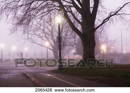 Stock Photo - Stanley Park At Dawn. Fotosearch