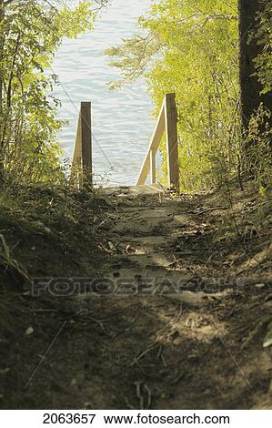 Steps Down To Clear Lake; Canada, Manitoba, Riding Mountain National Park View Large Photo Image Stock Photo - Steps Down To Clear Lake; Canada, Manitoba, Riding Mountain National Park. Fotosearch